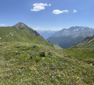Ausblick