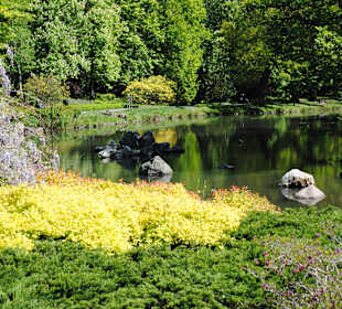 W centrum ogrodu znajduje się oczko wodne.