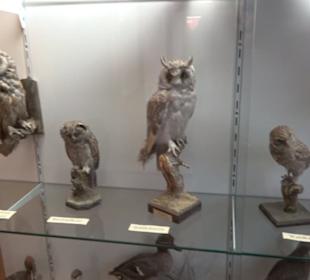 Heimatmuseum Oberstdorf