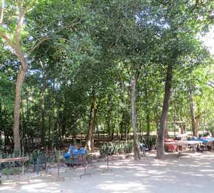 Spaziergang auf dem Ruinengelände