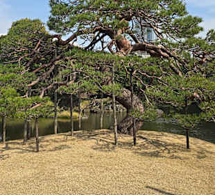 Gartenanlage