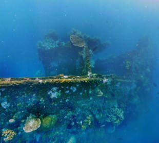 U.S.A.T. Liberty Wreck