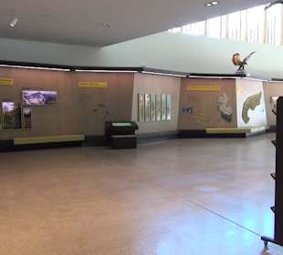 Nationalparkzentrum Haus der Berge