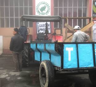 Teefabrik Puttabong Tea Estate