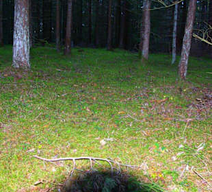 Kletterparadies in Kirchenbirkig