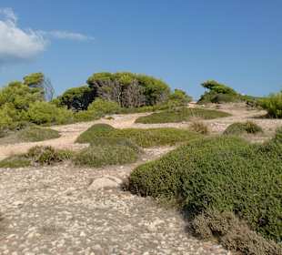 Der Wanderweg zum Leuchtturm