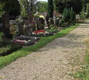 Friedhof