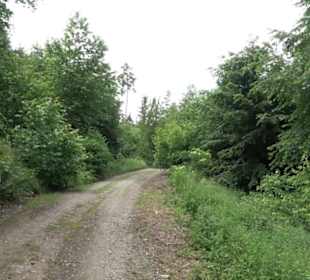 Wanderweg - Alter Steinbruch Pfaffenberg Runde