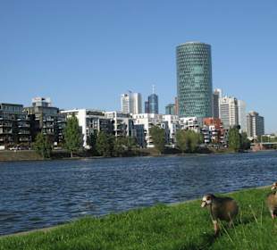 Westhafenpanorama mit dem Gerippten