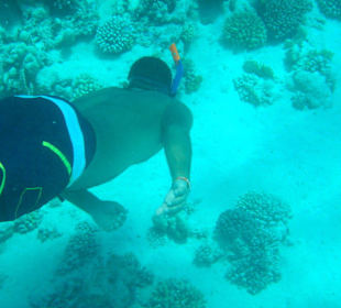 Schnorcheln Abu Dabab Tauchlehrer