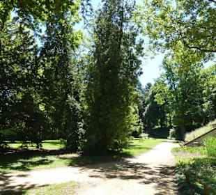 Kollmannspark
