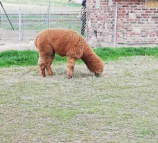 Freilichtmuseum Pstrążna