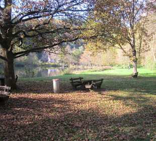 Der wunderschöne Helmbachweiher