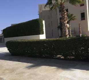 Stadtrundgang El Gouna