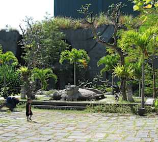 В зоопарке Бали