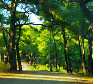 Sulahikulle - Vergessene Stadt