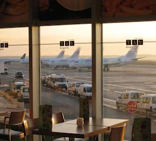 Leider schon Rückflug