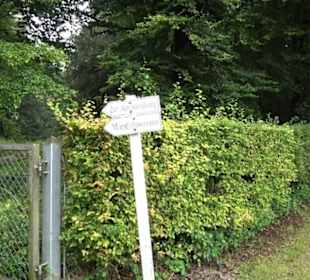 Schlosspark Nymphenburg