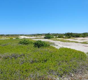 Eindrücke während der Fahrt