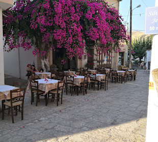 Stadtrundgang Panormos