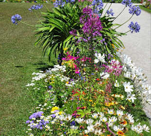 Im Garten des Nordparterre der Eremitage