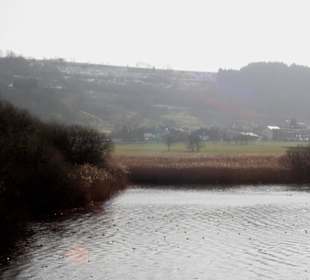 Maar bei Manderscheid