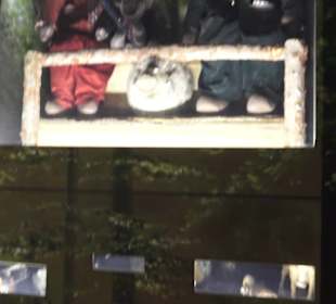 SchweineMuseum