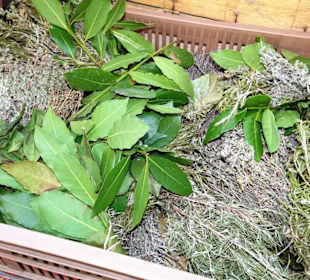 Rundgang über den Wochenmarkt von Aix-en-Provence