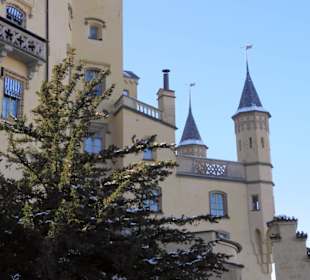 Im Sommer schlecht zu fotografieren