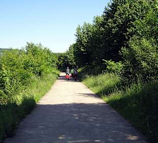 Fahrradweg rechts der Saar Richtung Merzig