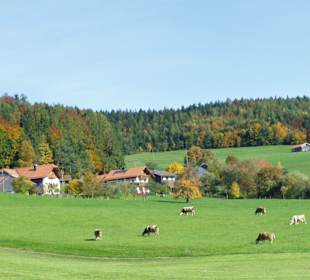 Wandern Berchtesgaden