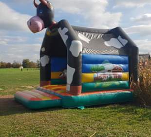 Maislabyrinth Südlohn