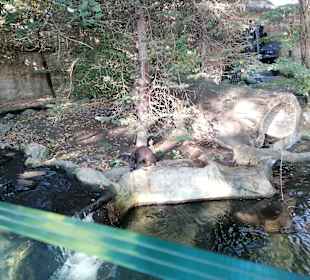 Zoologischer Garten Prag