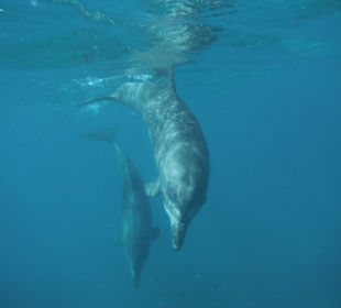 Mama mit Kind war auch dabei.