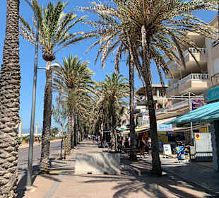 Strandpromenade Playa/Platja de Palma