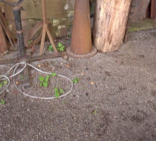 Altes Schloss Altensteig