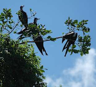 Nationalpark Los Haitises