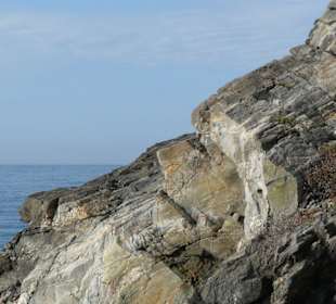 Felsen
