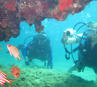 Side Ausflug: Tauchen