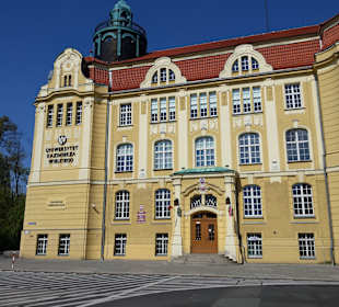 Stare Miasto