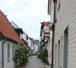 Rosen in der Altstadt