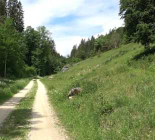 Premiumwanderweg "hochgehackert"