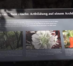 Botanischer Garten der Universität Zürich