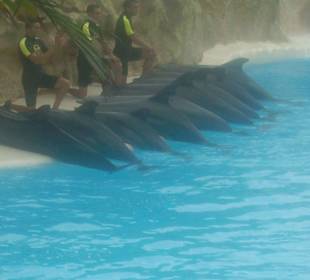 Loro Parque