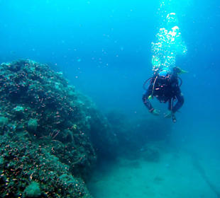 Diver