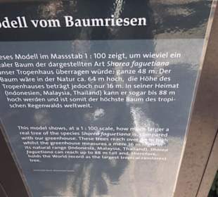 Botanischer Garten der Universität Zürich