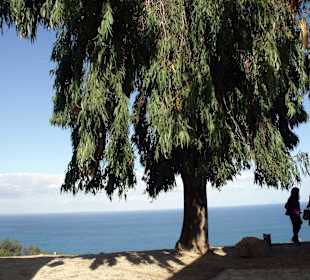Die blau-weiße Künstlerstadt
