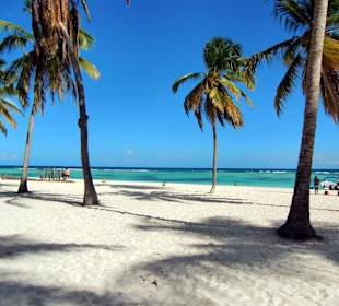 Isla Saona, Canto de la Playa