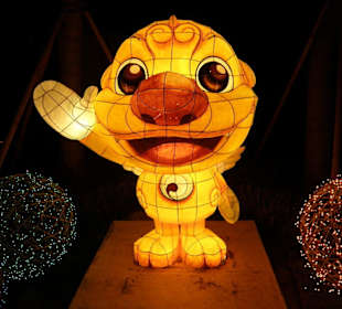 Uomo coreano al fiume