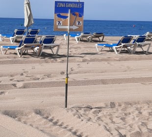 Strand Santa Susanna